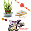 Musical Surprise for Brother - code01 - Click here to View more details about this Product